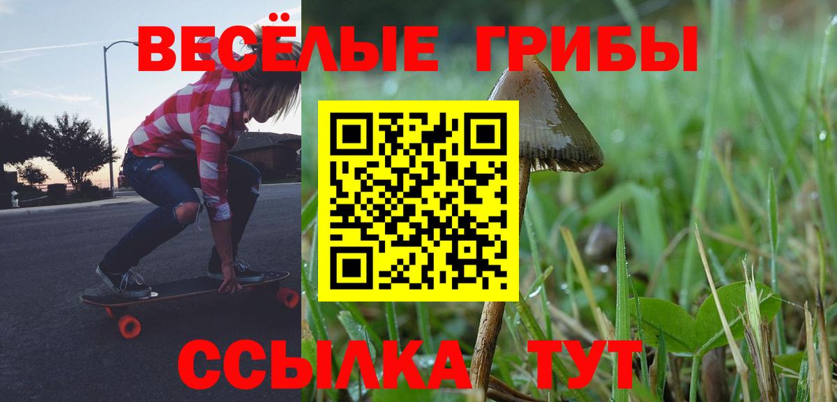 Псилоцибиновые грибы GOLDEN TEACHER Алейск